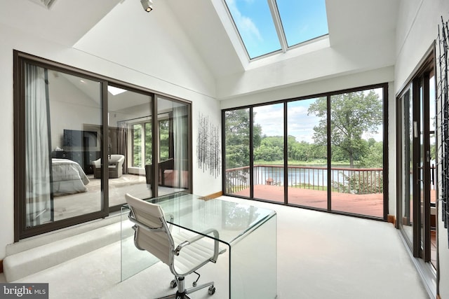 174 Springhouse Ln, Spring Grove, PA 17362 - home office with plenty of natural light, a skylight, and vaulted ceiling