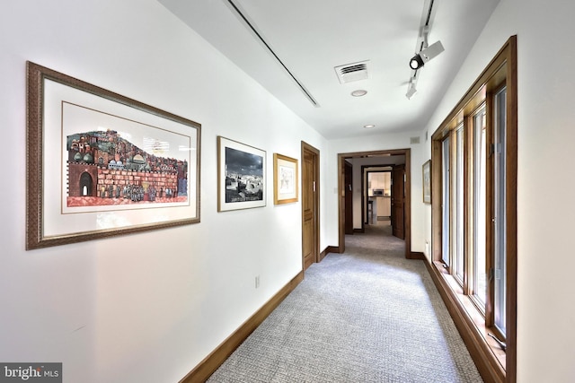 174 Springhouse Ln, Spring Grove, PA 17362 - corridor with track lighting, carpet floors, and baseboards