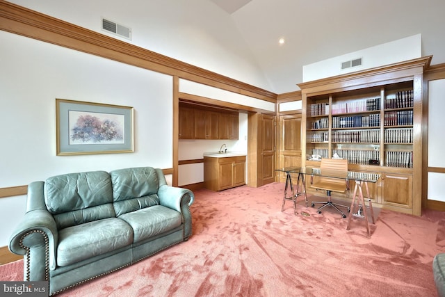 174 Springhouse Ln, Spring Grove, PA 17362 - office space with high vaulted ceiling, light colored carpet, and a sink
