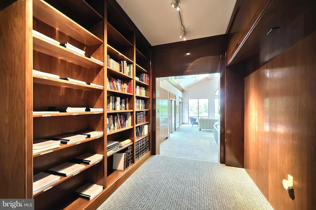 174 Springhouse Ln, Spring Grove, PA 17362 - hall featuring carpet flooring, lofted ceiling, and track lighting