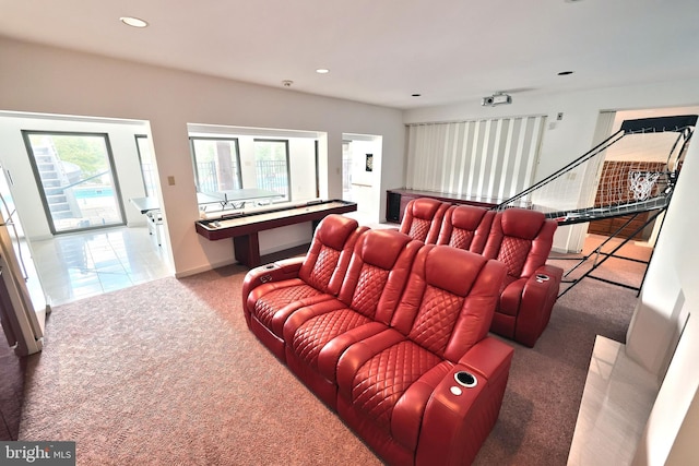 174 Springhouse Ln, Spring Grove, PA 17362 - carpeted home theater featuring plenty of natural light, recessed lighting, and baseboards