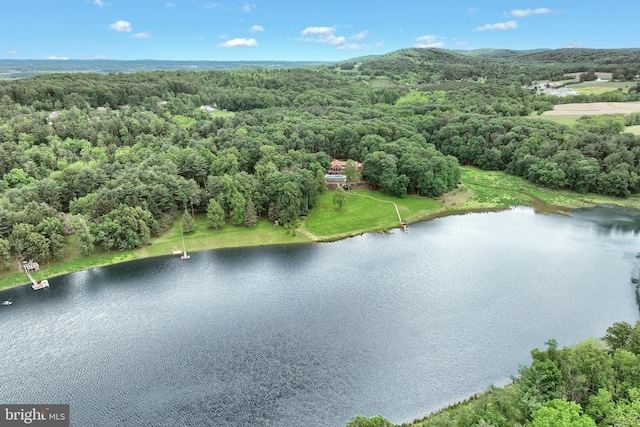 174 Springhouse Ln, Spring Grove, PA 17362 - drone / aerial view of a large body of water and a heavily wooded area