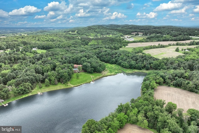 174 Springhouse Ln, Spring Grove, PA 17362 - bird's eye view of a large body of water and a heavily wooded area