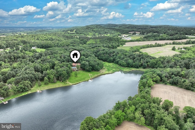 174 Springhouse Ln, Spring Grove, PA 17362 - drone / aerial view of a large body of water and a forest