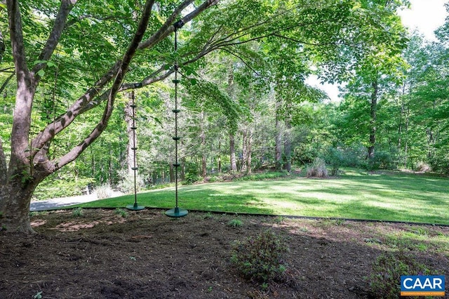 view of yard featuring a forest view