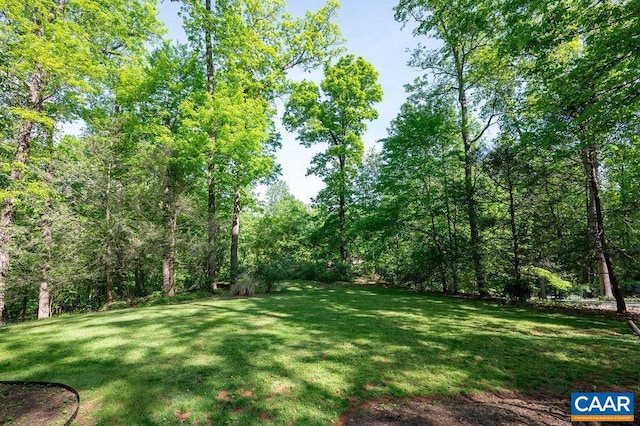 view of yard featuring a forest view