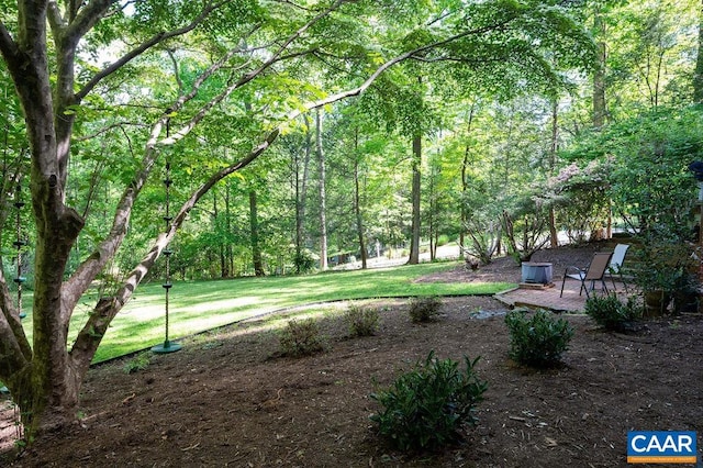 view of yard with a patio area