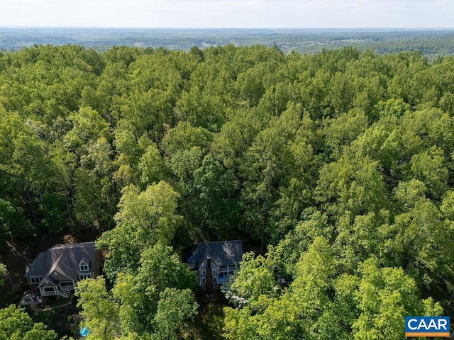 bird's eye view with a view of trees
