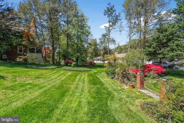 view of yard