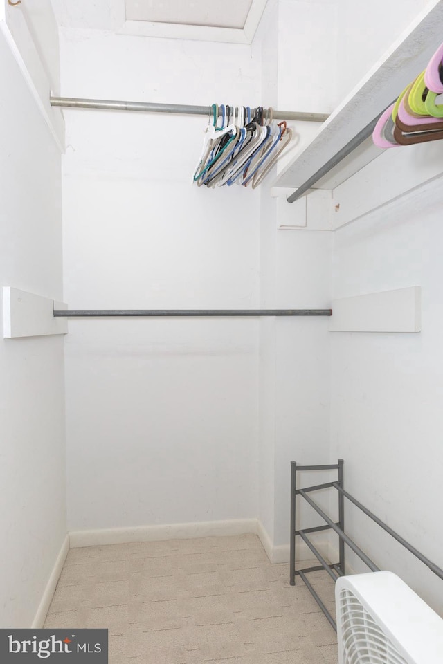 walk in closet with light carpet