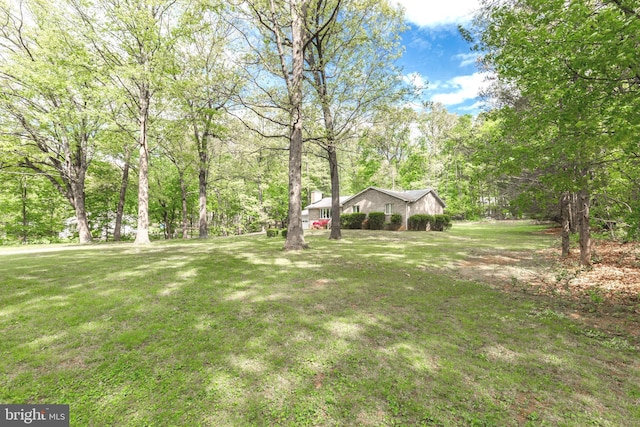 view of yard