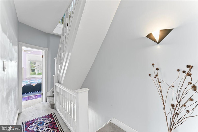 interior space featuring carpet flooring and baseboards