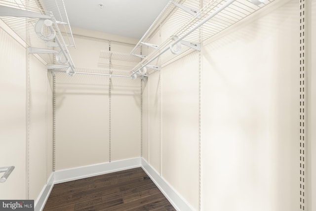 spacious closet with dark wood finished floors