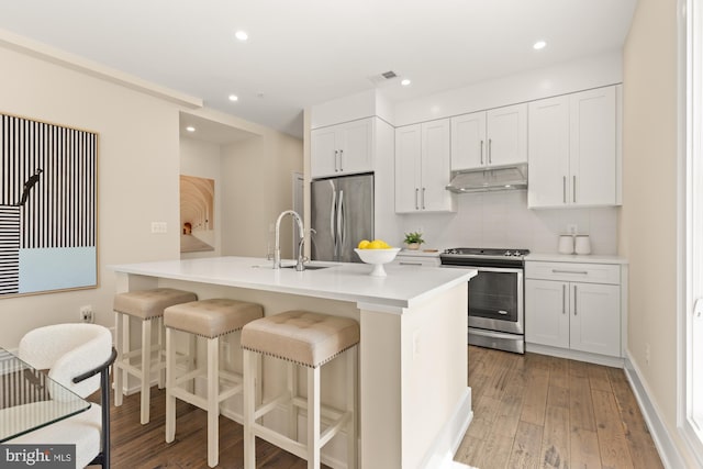 kitchen with under cabinet range hood, appliances with stainless steel finishes, a sink, and light wood finished floors