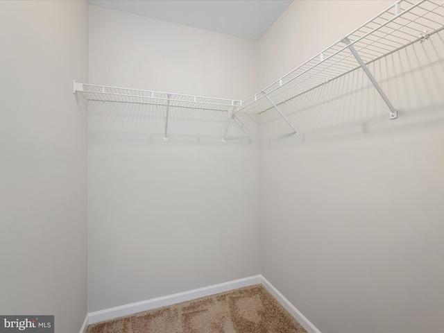 119 Checko Ct, Martinsburg, WV 25401 - spacious closet with carpet