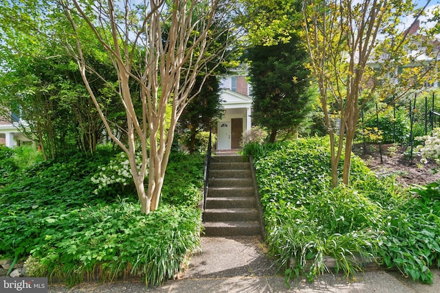 216 Homewood Ter, Baltimore, MD 21218 - view of front of property featuring stairs