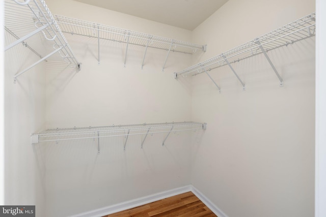 spacious closet with wood finished floors