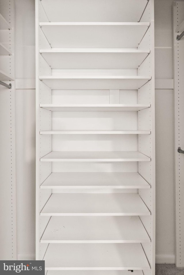 11645 Newbridge Ct, Reston, VA 20191 - view of spacious closet