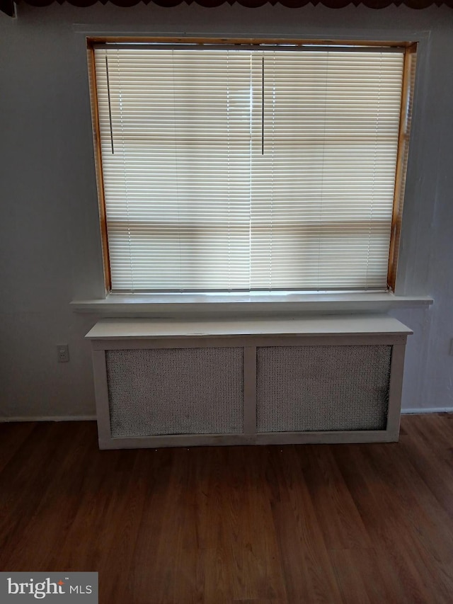 room details featuring radiator and wood finished floors
