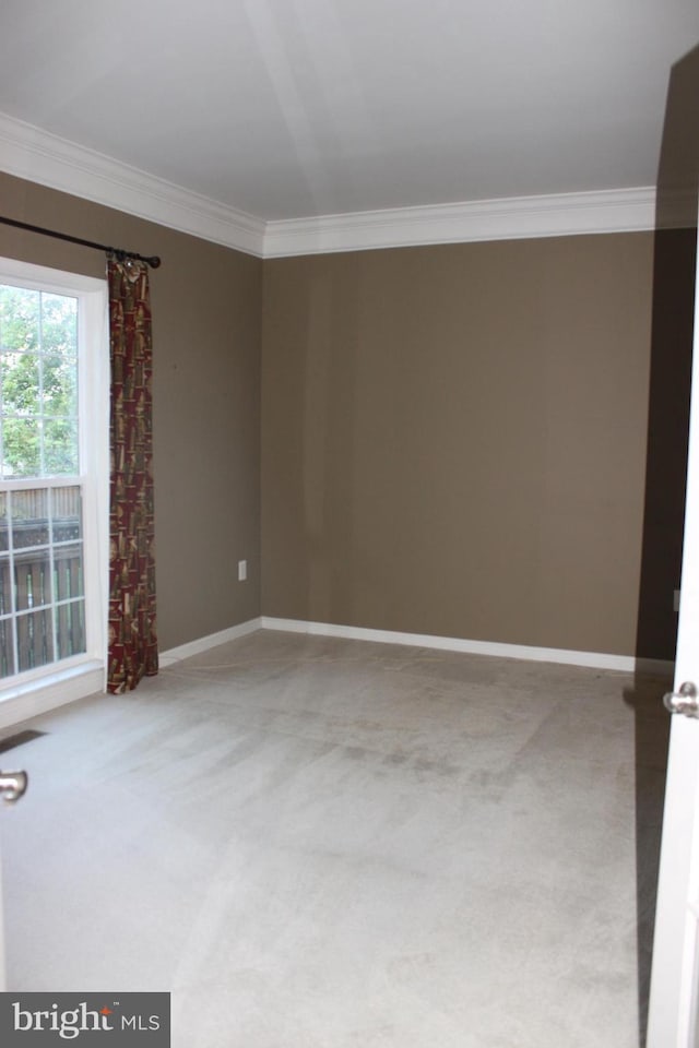 spare room with crown molding, baseboards, and carpet