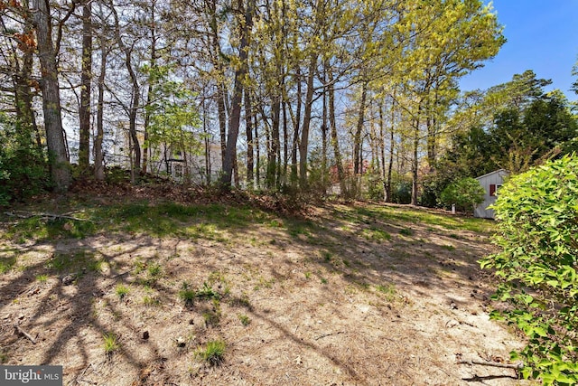 191 Willets Ave, Little Egg Harbor Twp, NJ 08087 - view of yard
