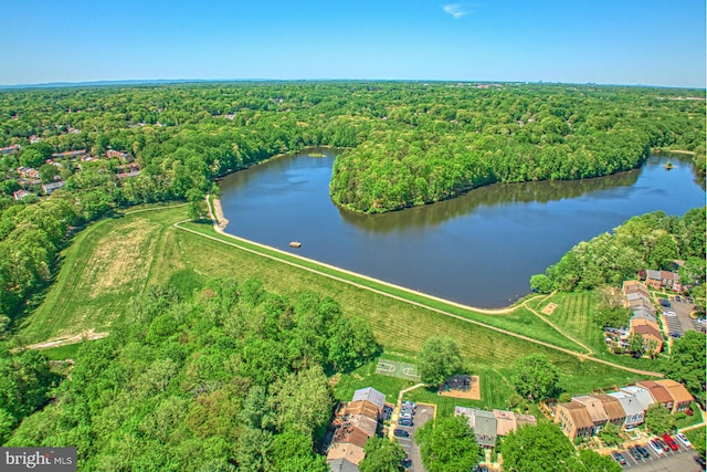 birds eye view of property with a water view and a forest view