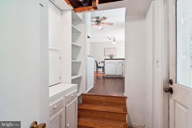 stairway with a ceiling fan and wood finished floors