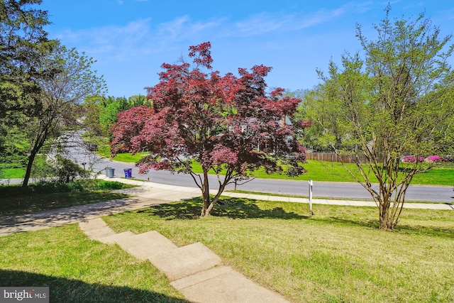 view of yard with driveway