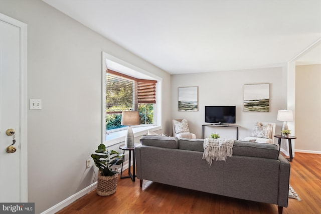 living area featuring baseboards and wood finished floors
