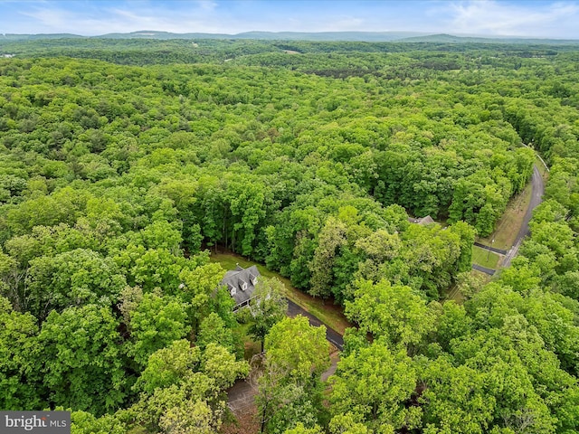 554 Wispy Branch Ln, Hedgesville, WV 25427 - bird's eye view of a forest