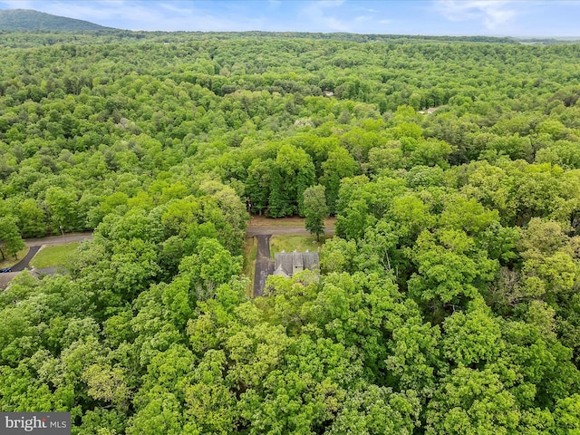 554 Wispy Branch Ln, Hedgesville, WV 25427 - drone / aerial view of a forest