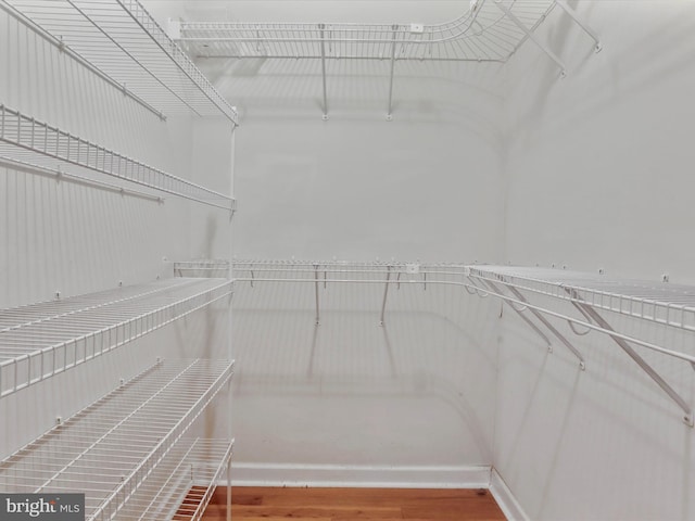 103 Potters Cir, Strasburg, VA 22657 - spacious closet with wood finished floors
