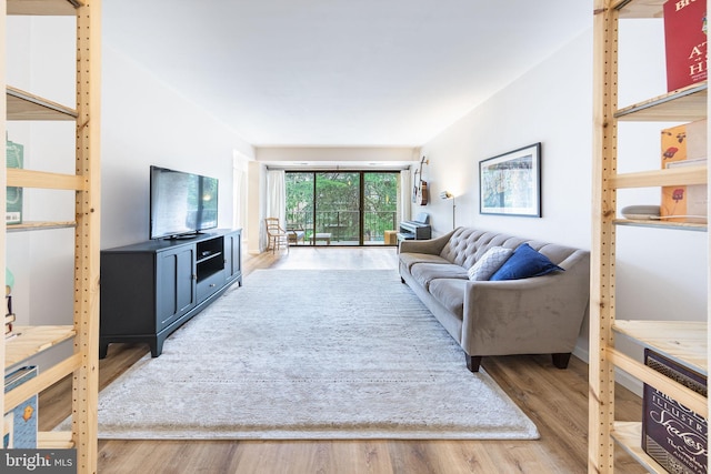 living room featuring wood finished floors