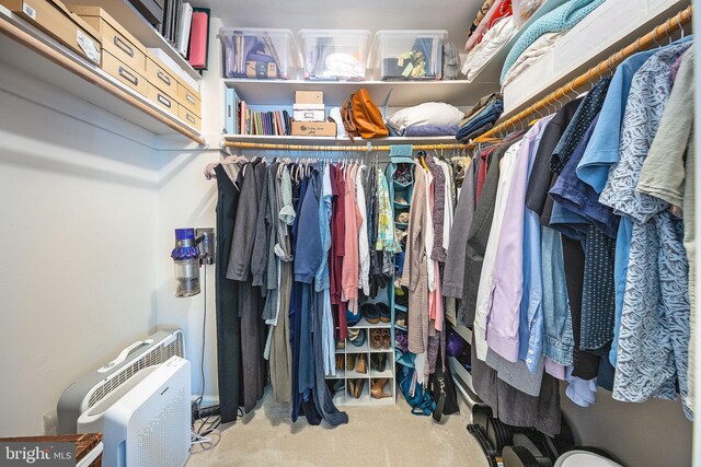 walk in closet with carpet