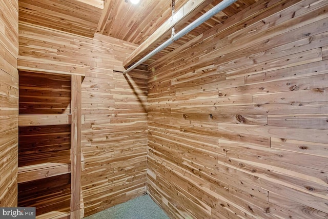 205 Dunbeath Ct, Lutherville Timonium, MD 21093 - spacious closet featuring carpet