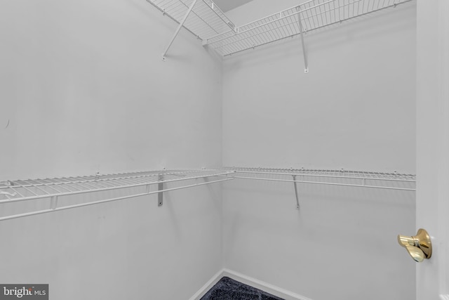 12 Jon Dr, Barnegat, NJ 08005 - view of walk in closet