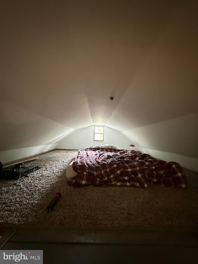 bedroom featuring lofted ceiling