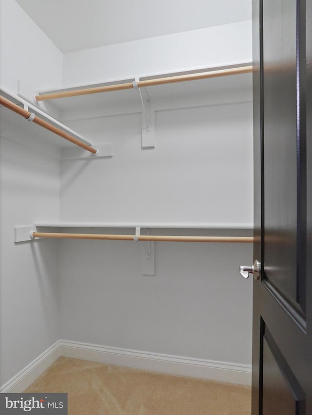 191 Inez Ln, Stephens City, VA 22655 - walk in closet with light colored carpet
