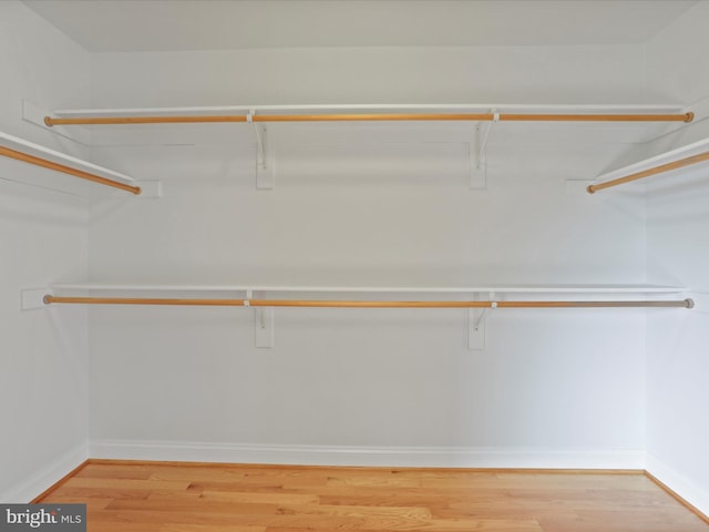 191 Inez Ln, Stephens City, VA 22655 - walk in closet with light wood-style floors