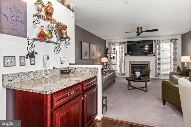 living area featuring a ceiling fan and a glass covered fireplace