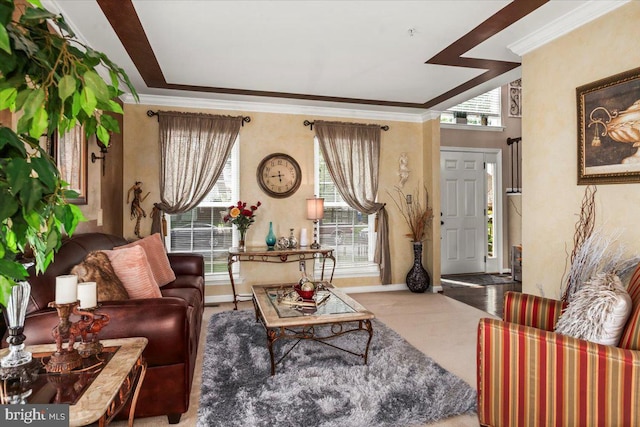 living area featuring baseboards and ornamental molding