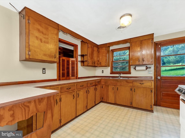9618 Hall Rd, Frederick, MD 21701 - kitchen featuring brown cabinets, a sink, healthy amount of natural light, and light flooring