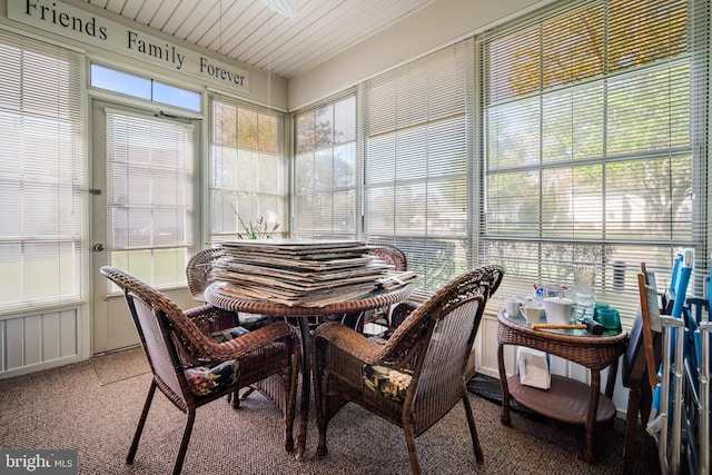 sunroom with carpet flooring