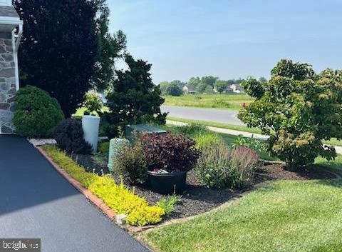 3570 Pinecrest Ct, Fayetteville, PA 17222 - view of green lawn