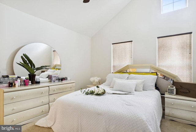 carpeted bedroom with high vaulted ceiling