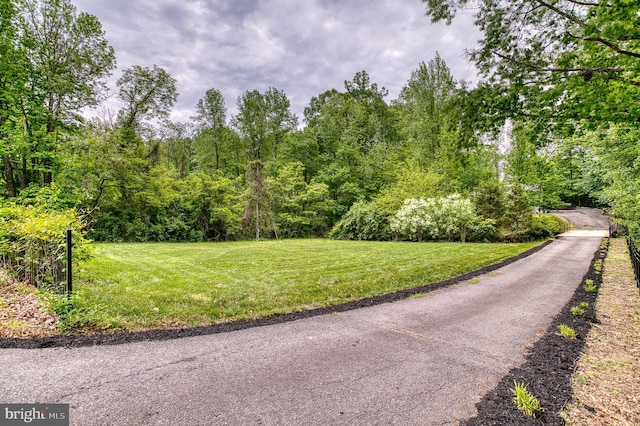 7140 Barry Rd, Alexandria, VA 22315 - surrounding community featuring a yard and a wooded view