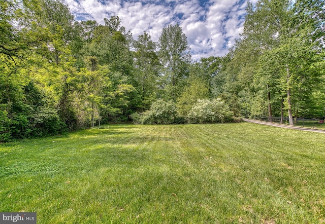 7140 Barry Rd, Alexandria, VA 22315 - view of green lawn featuring a wooded view