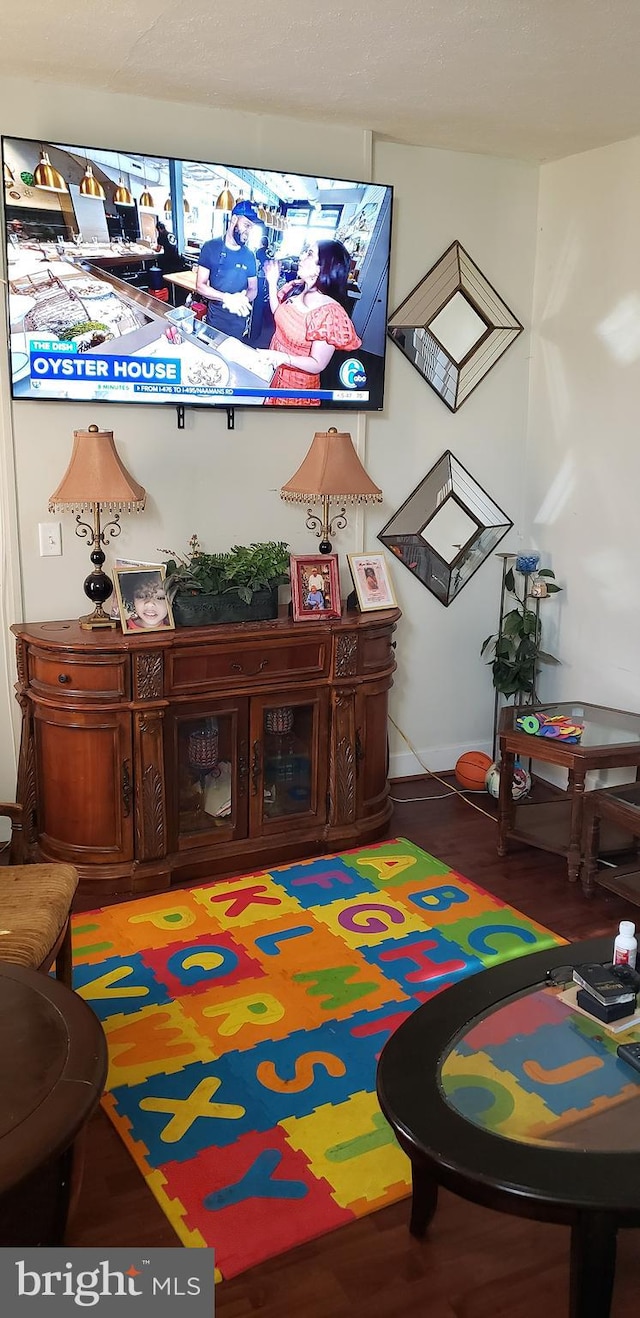 playroom with wood finished floors