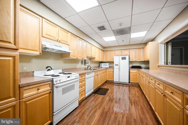 3200 N Leisure World Blvd Unit 1010, Silver Spring, MD 20906 - kitchen with white appliances, a sink, under cabinet range hood, wood finished floors, and a paneled ceiling
