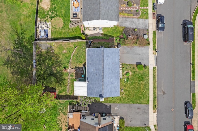 bird's eye view